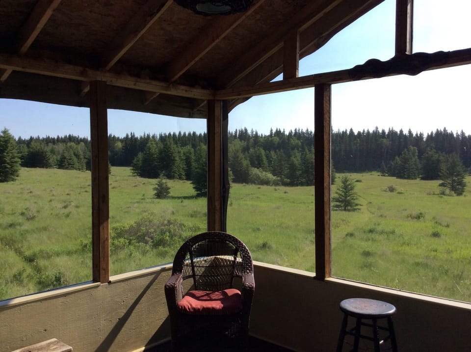 View from deck
