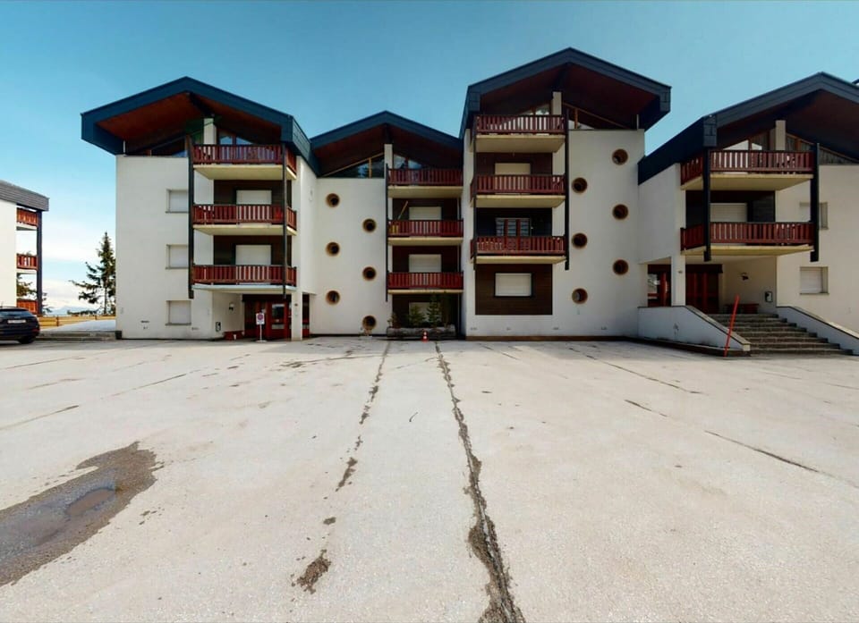 Building, Sky, Window, Asphalt, Land Lot, Plant, Architecture, Tree, House