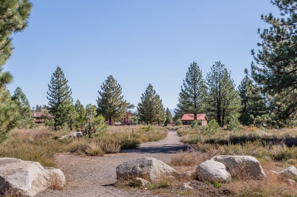 Mammoth Creek Park right next to La Vista Blanc