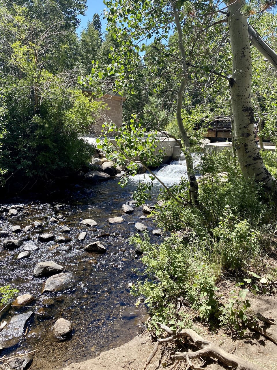Enjoy the sound of the creek walking through Mammoth Creek Park