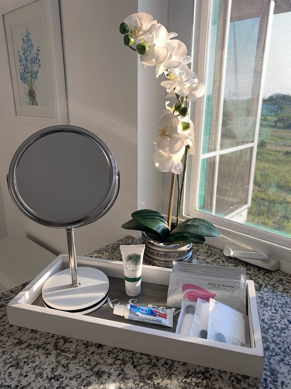 Bathroom Essentials 
