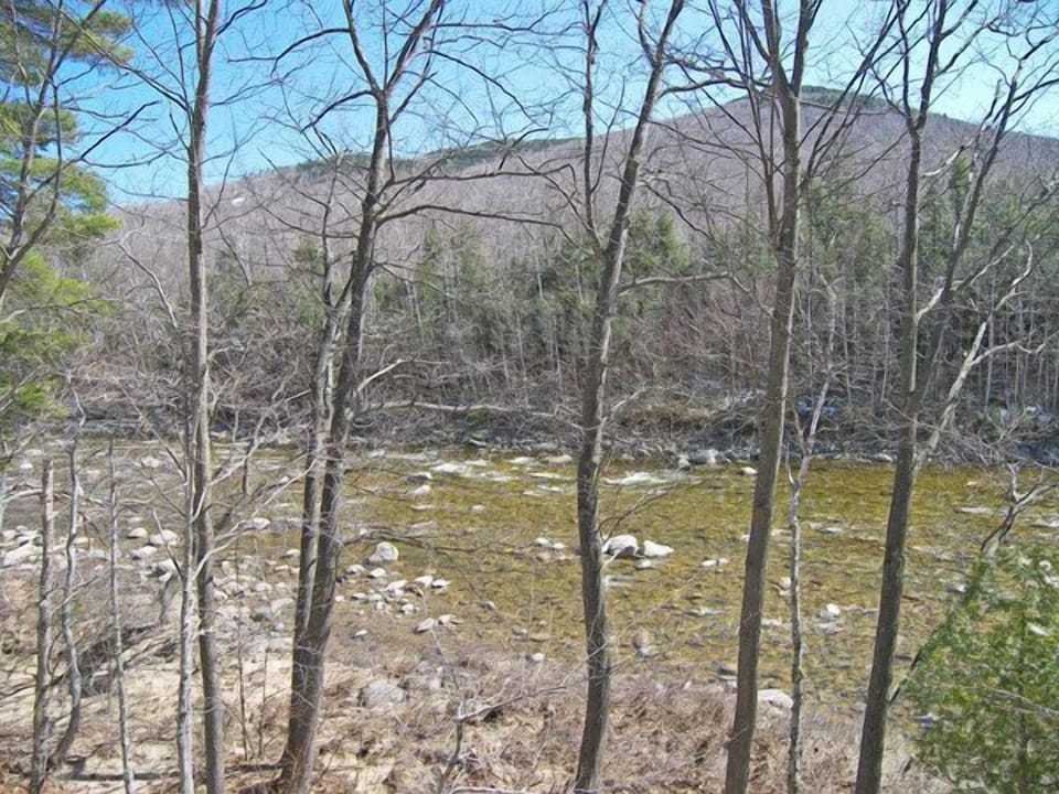 Spring View from Deck