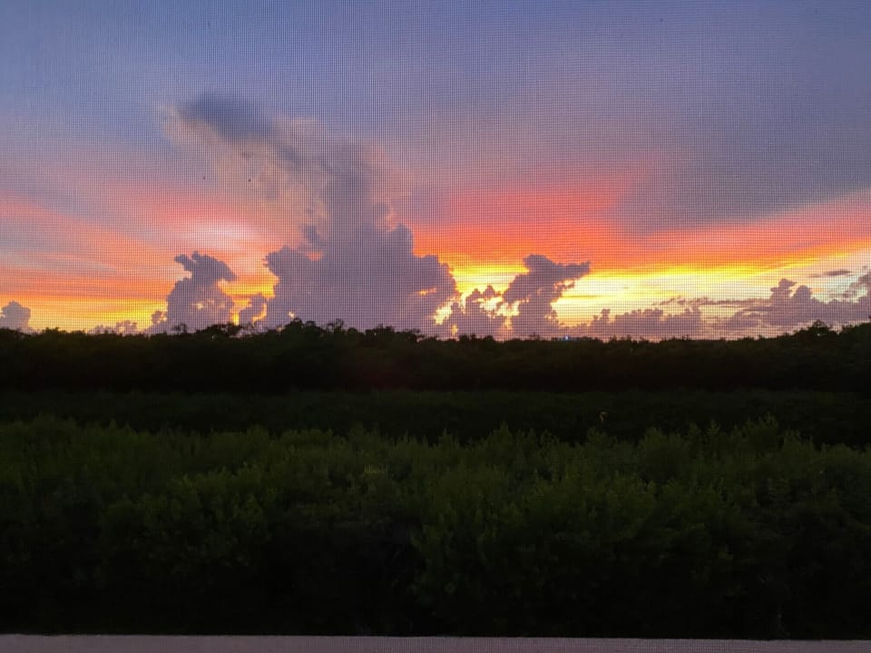 View from Lanai