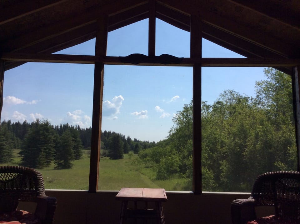 View from deck