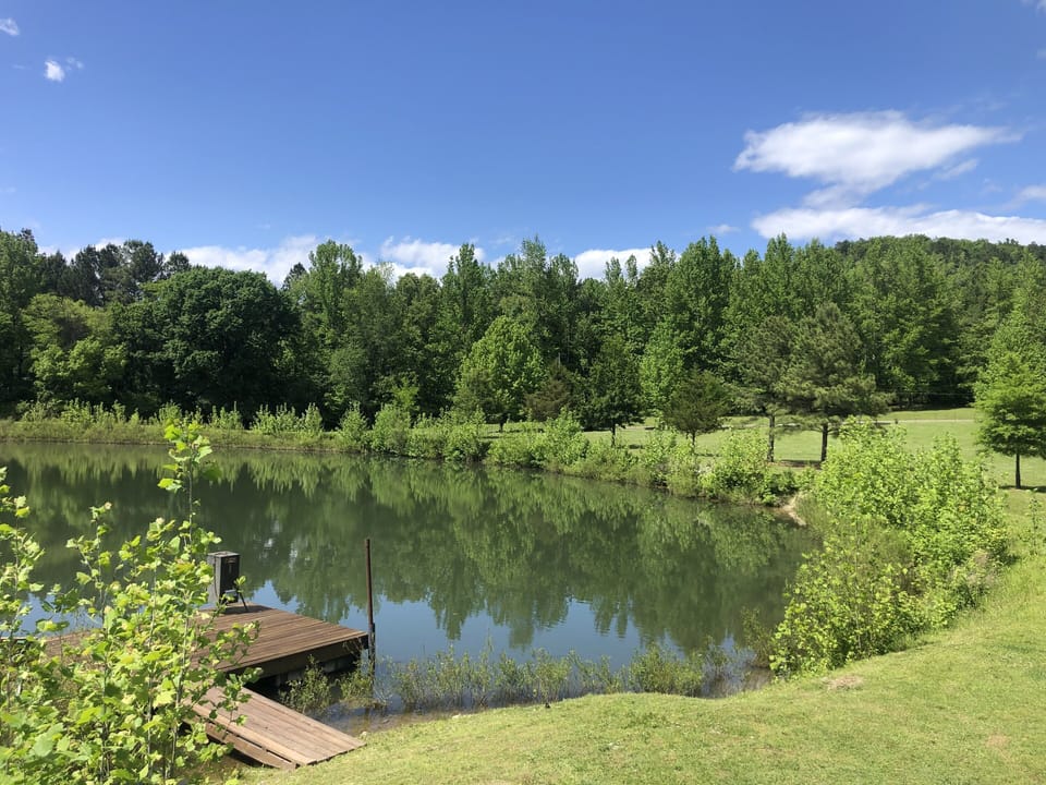 Pond
