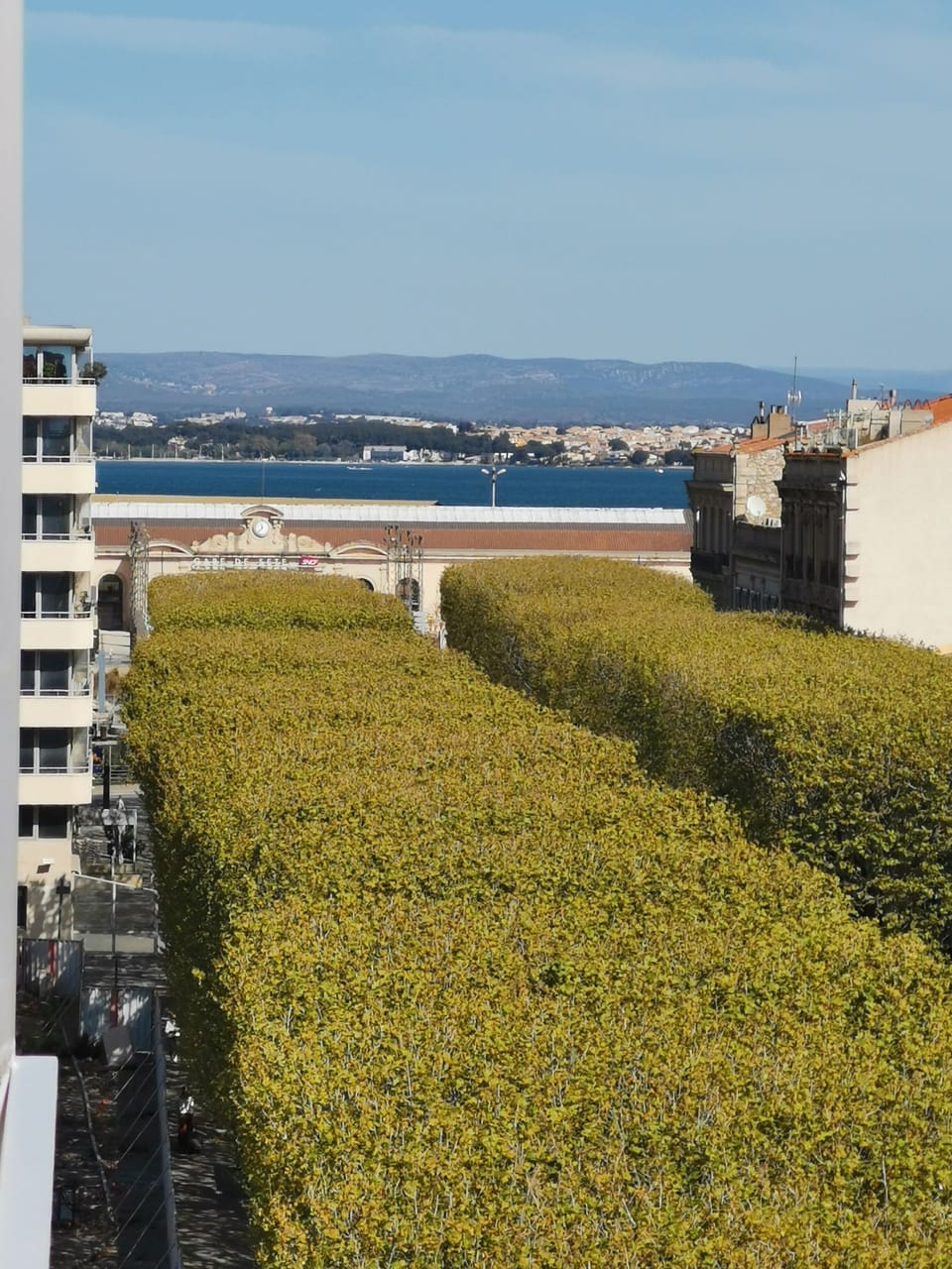 View from property