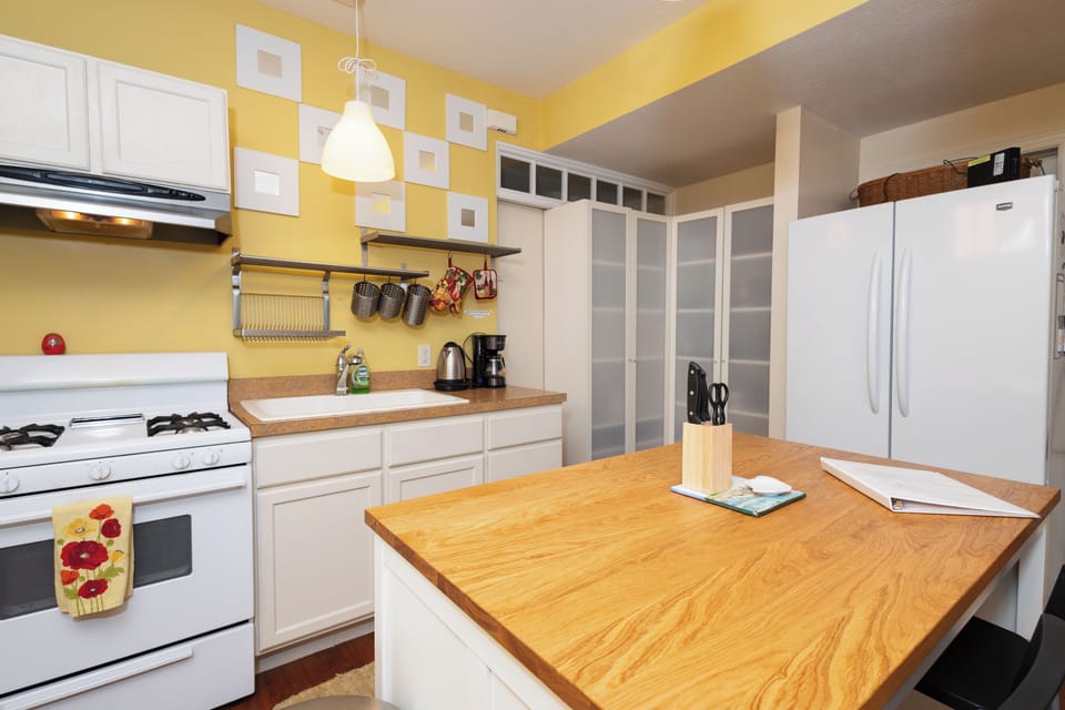 Gas oven with fan. Full fridge, some snacks and spices in the cabinets.
