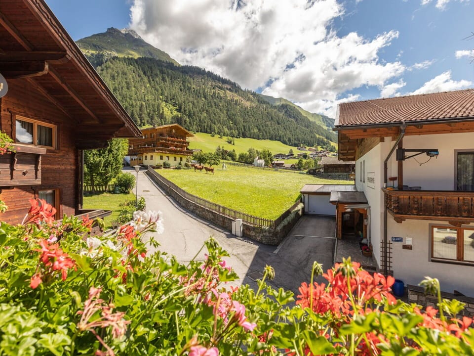 Flower, Plant, Cloud, Sky, Building, Window, Mountain, Nature, Botany, Natural Landscape