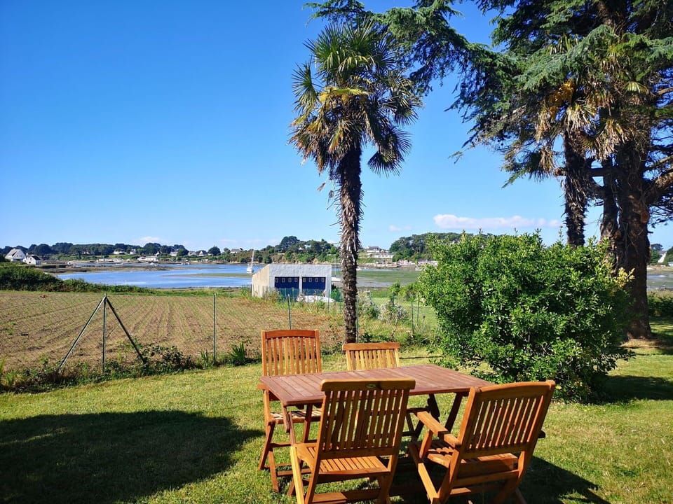 Plant, Sky, Furniture, Water, Table, Natural Environment, Natural Landscape, Shade, Outdoor Furniture, Tree
