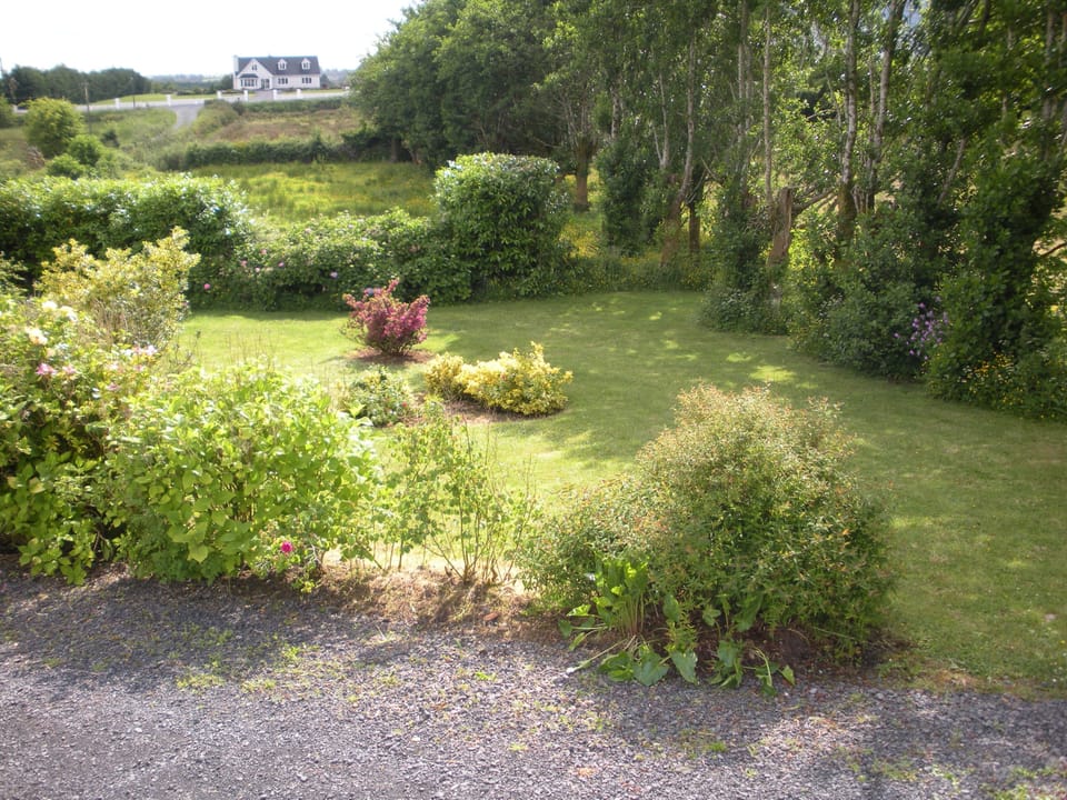 Image 14