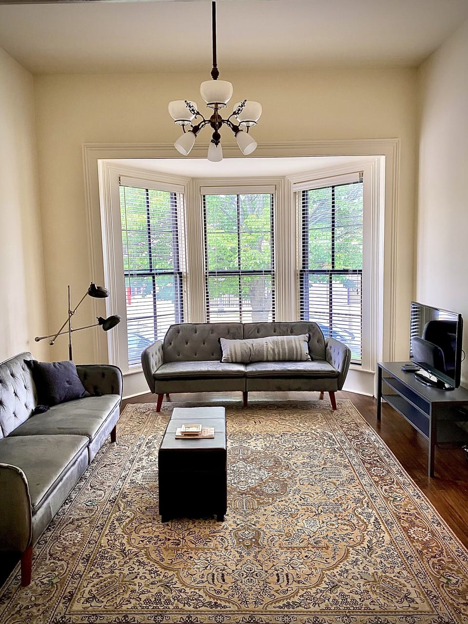 Living room with two full sized sleeper sofas.