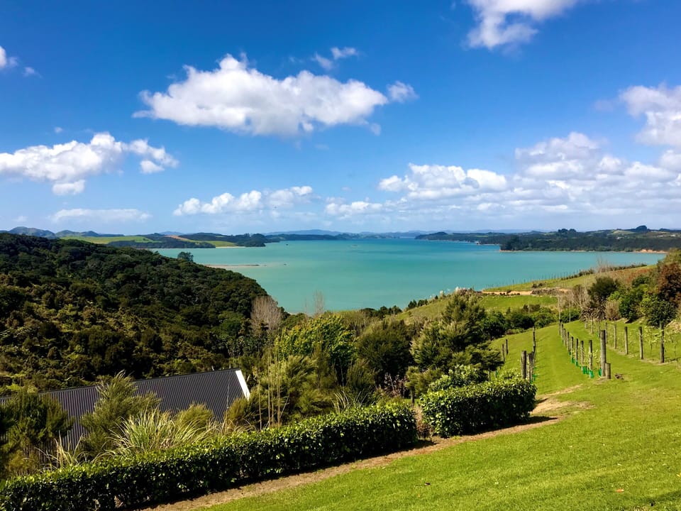 View from the gate as you enter the property 