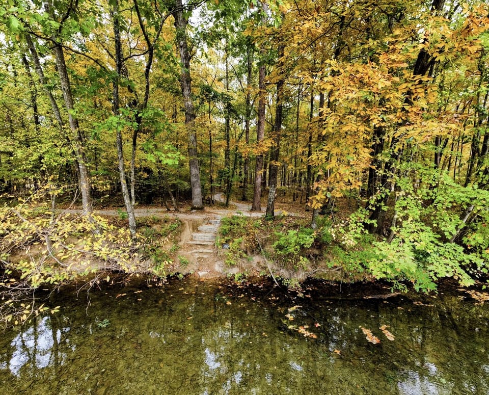 The cove to the lake.. 