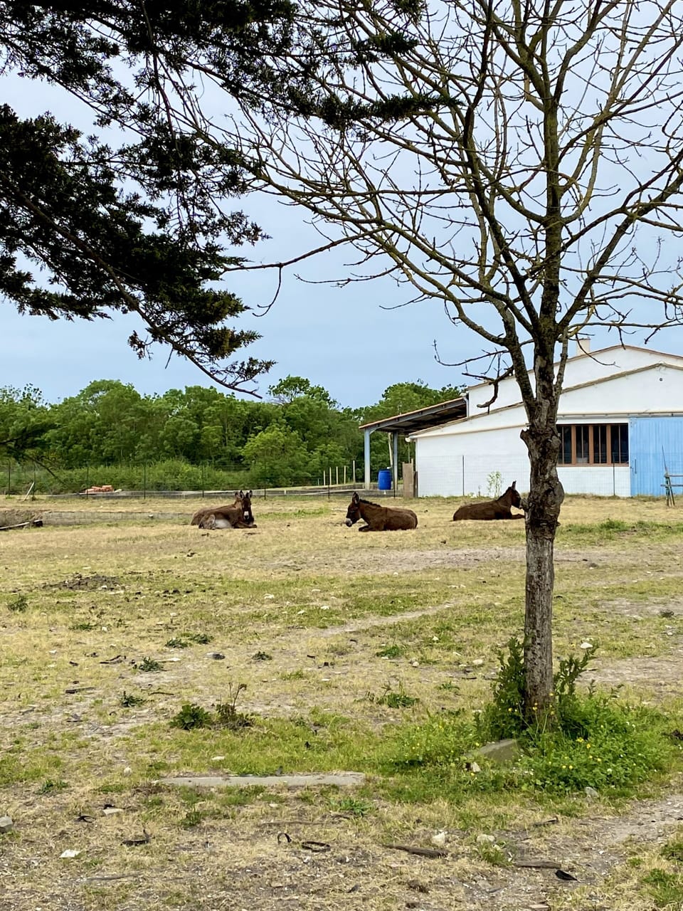 Property grounds