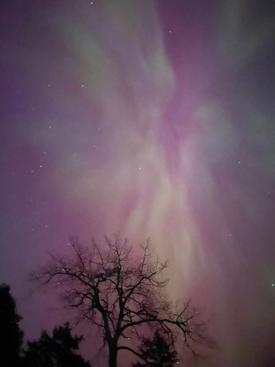 Enjoy star-gazing without any “light pollution” from the city.