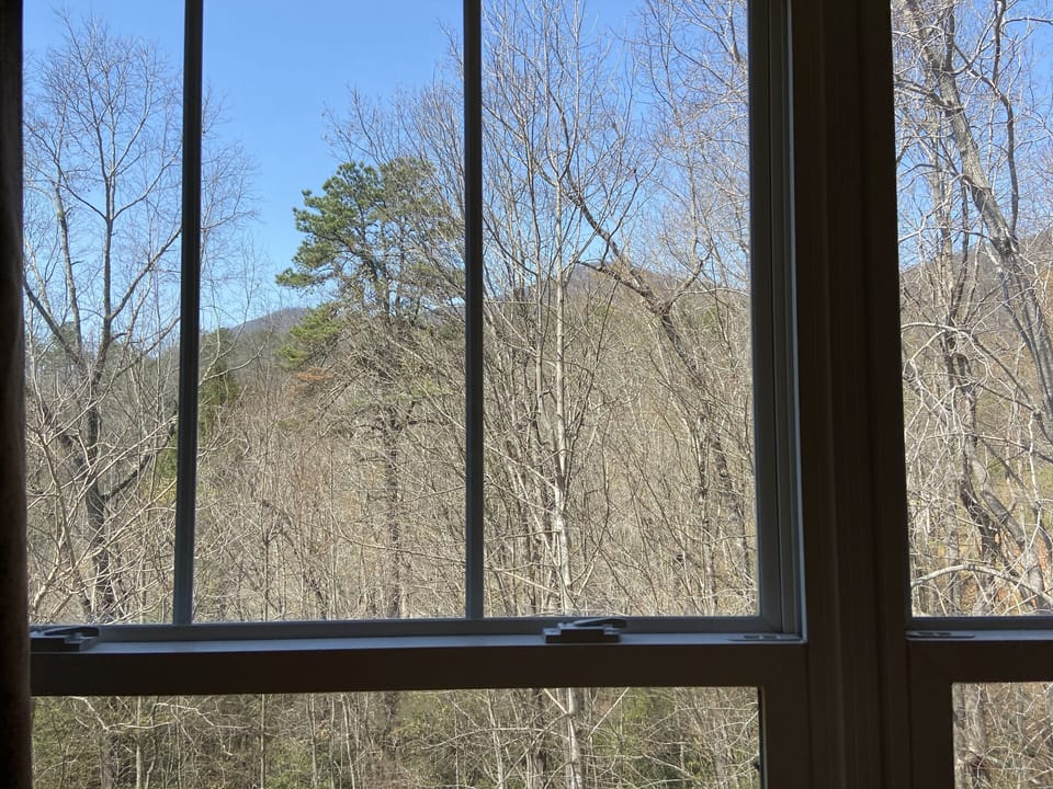 Family Suite Window (view from upstairs)