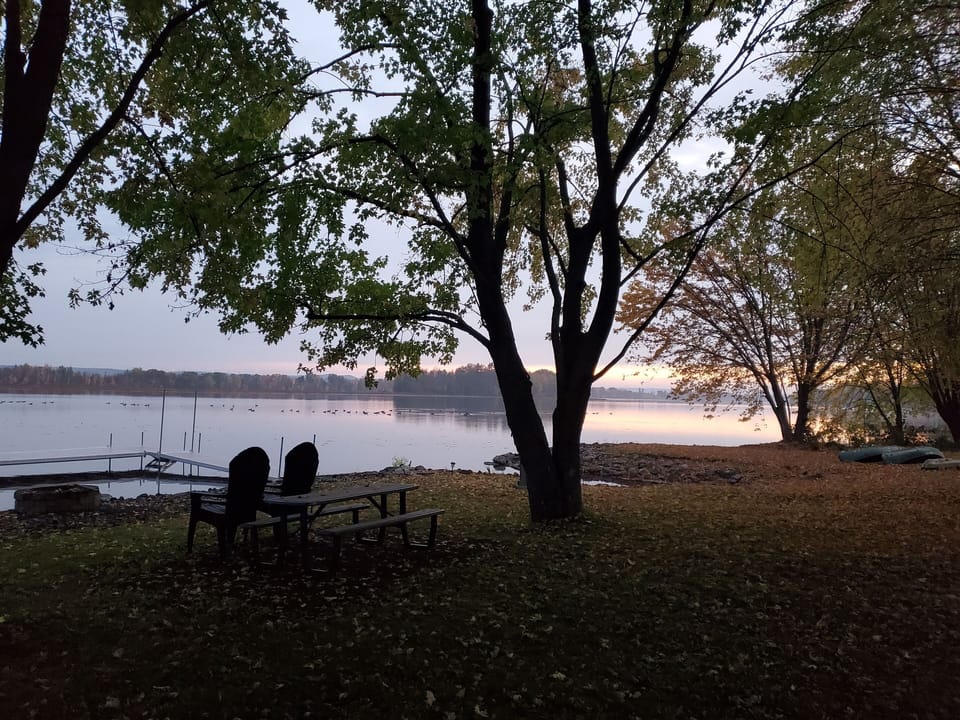 Quiet morning in the fall, with geese