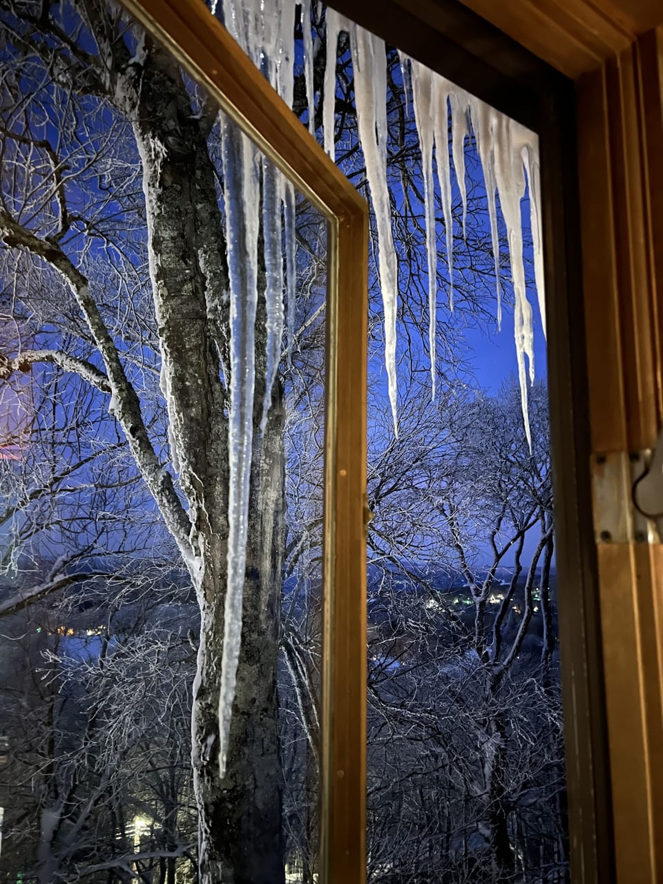 View from property