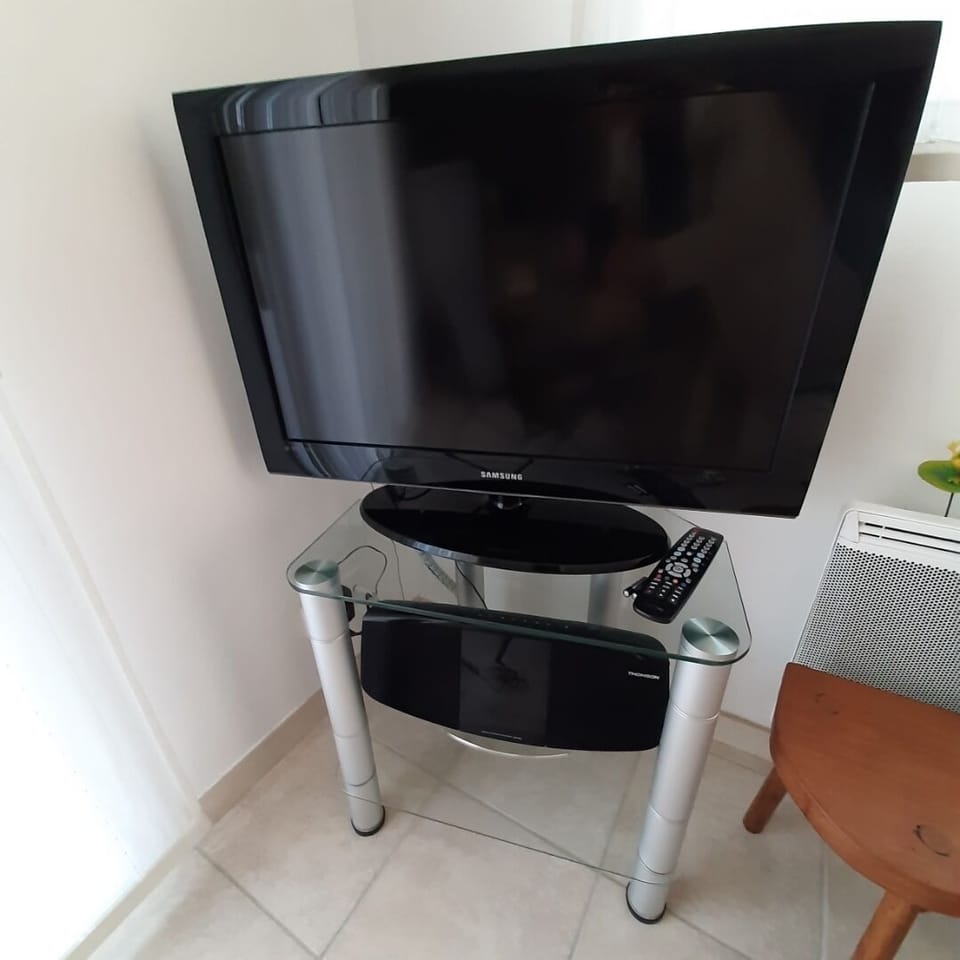Television