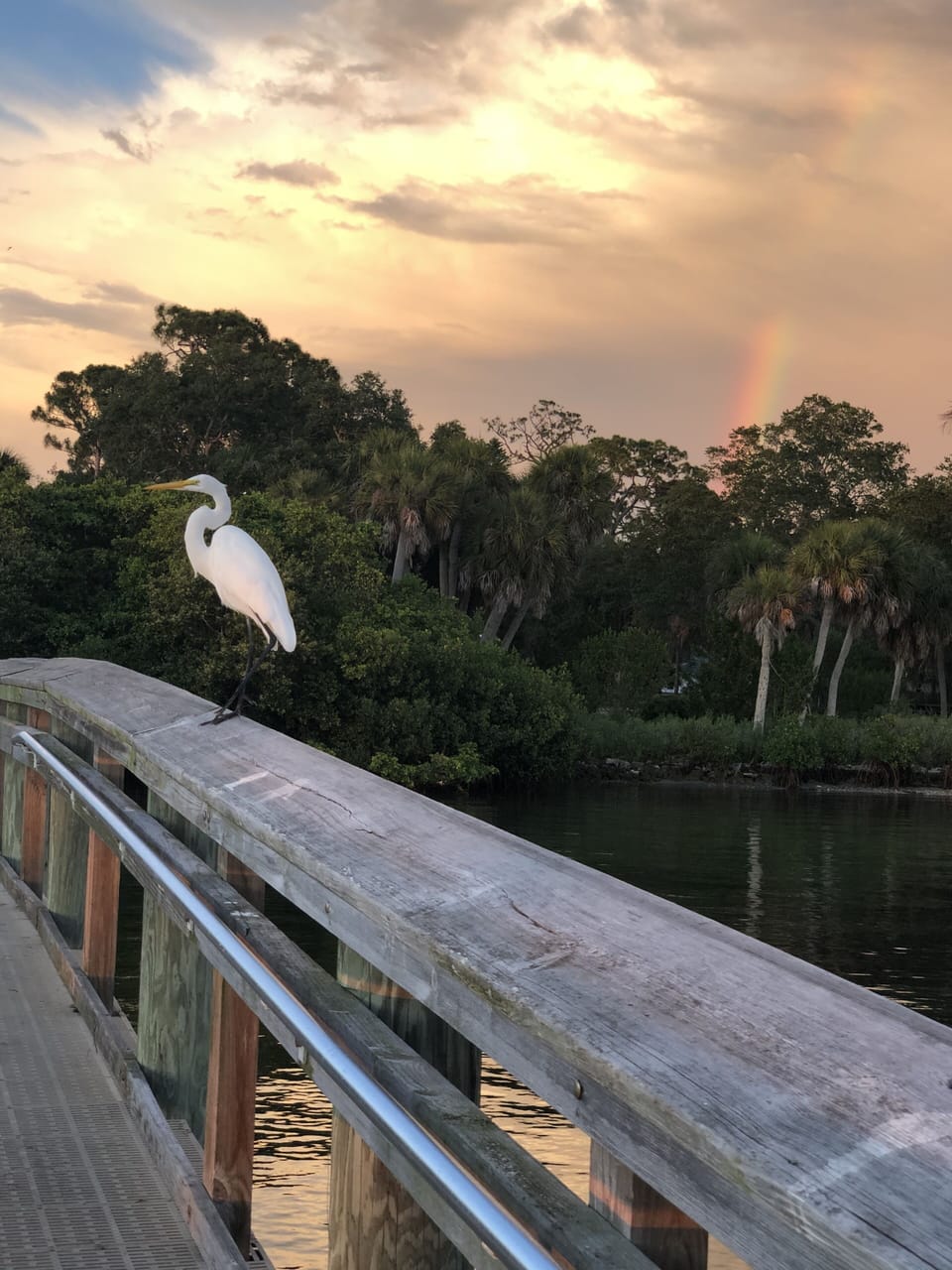 View from property