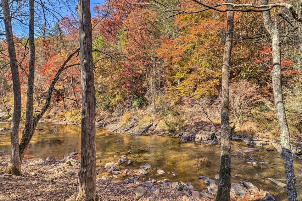 Private Side Yard I Outdoor Space for Play and Games