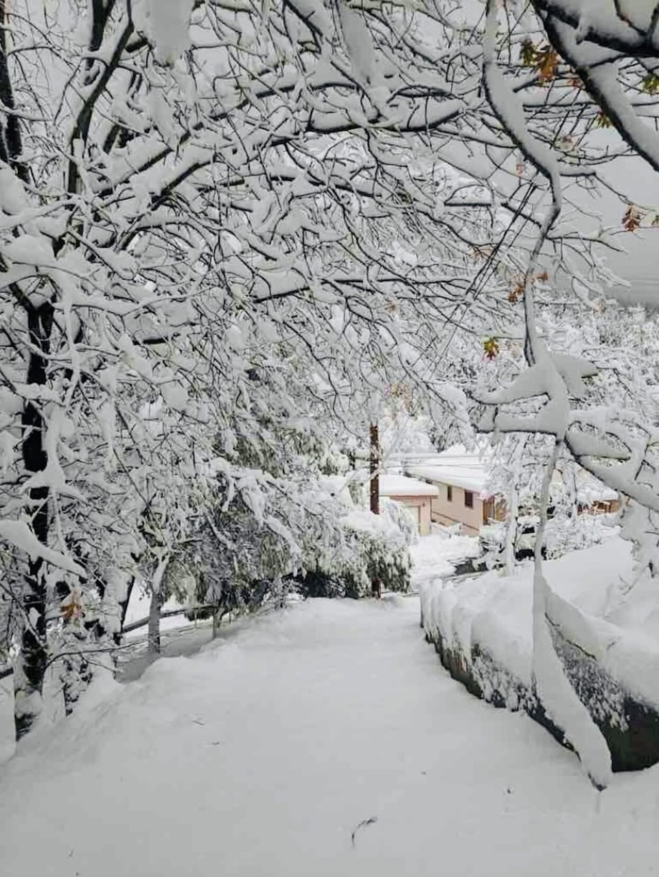 Driveway with Snow