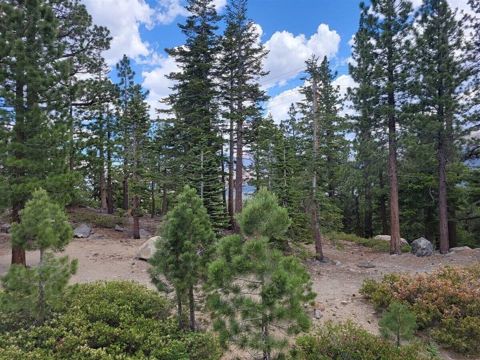 View from the deck