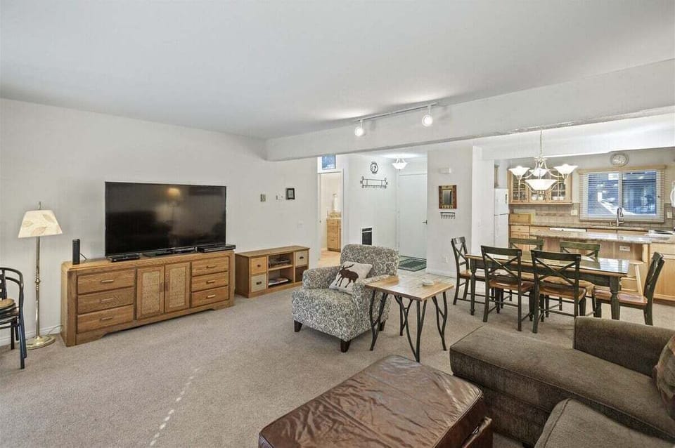 Living TV and Condo Entryway