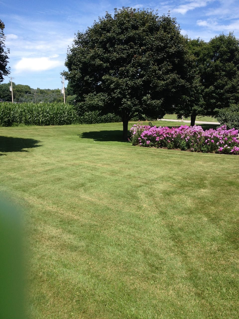 Property grounds