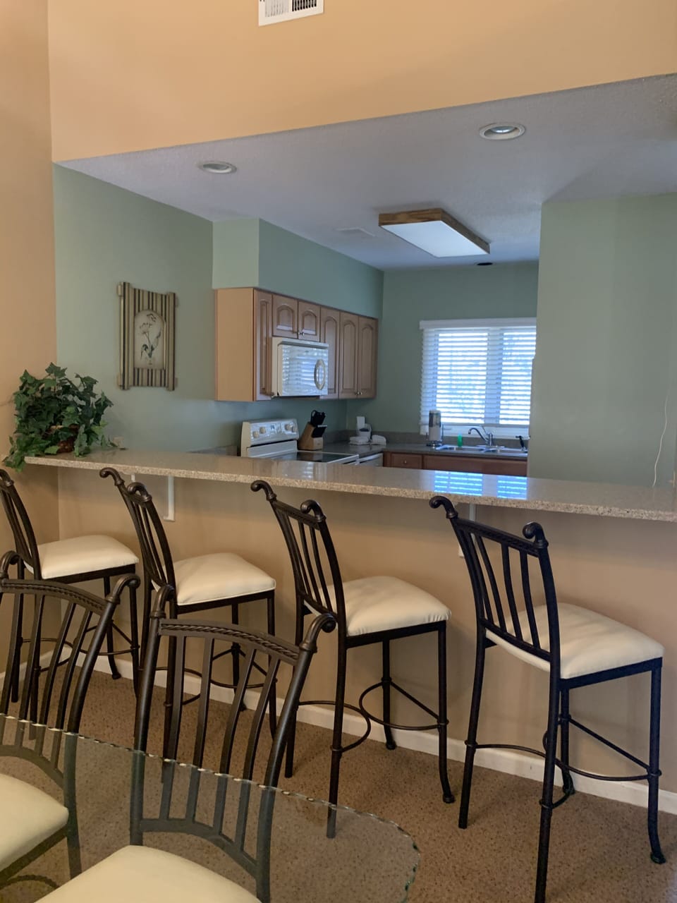 Plenty of room to visit if you choose to cook 