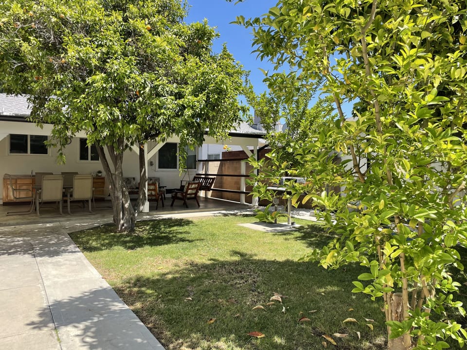 Rear Yard