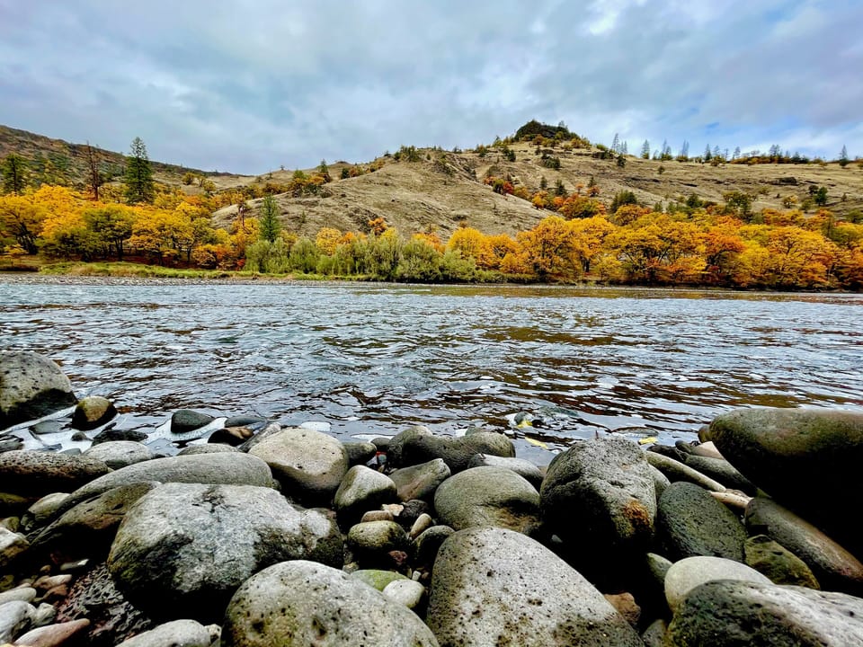 Fall Colors