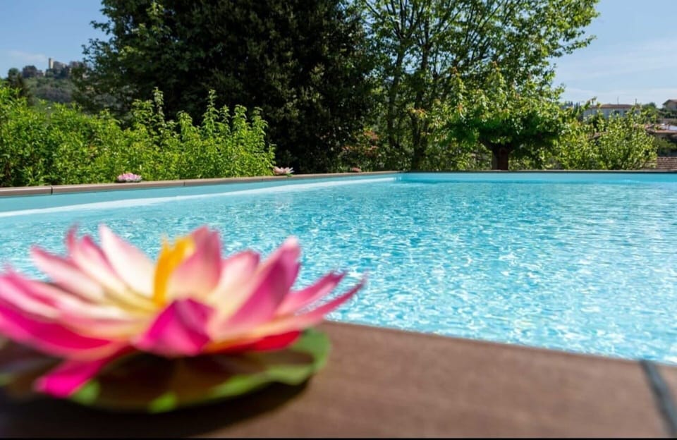 Garden, Outdoor, Pool