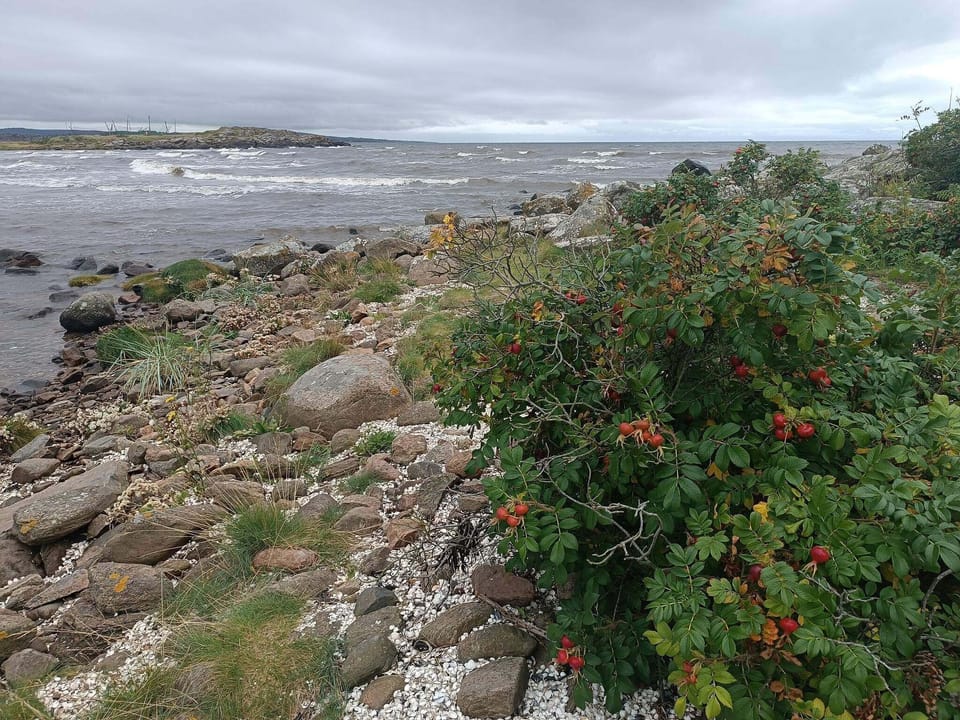 Water view