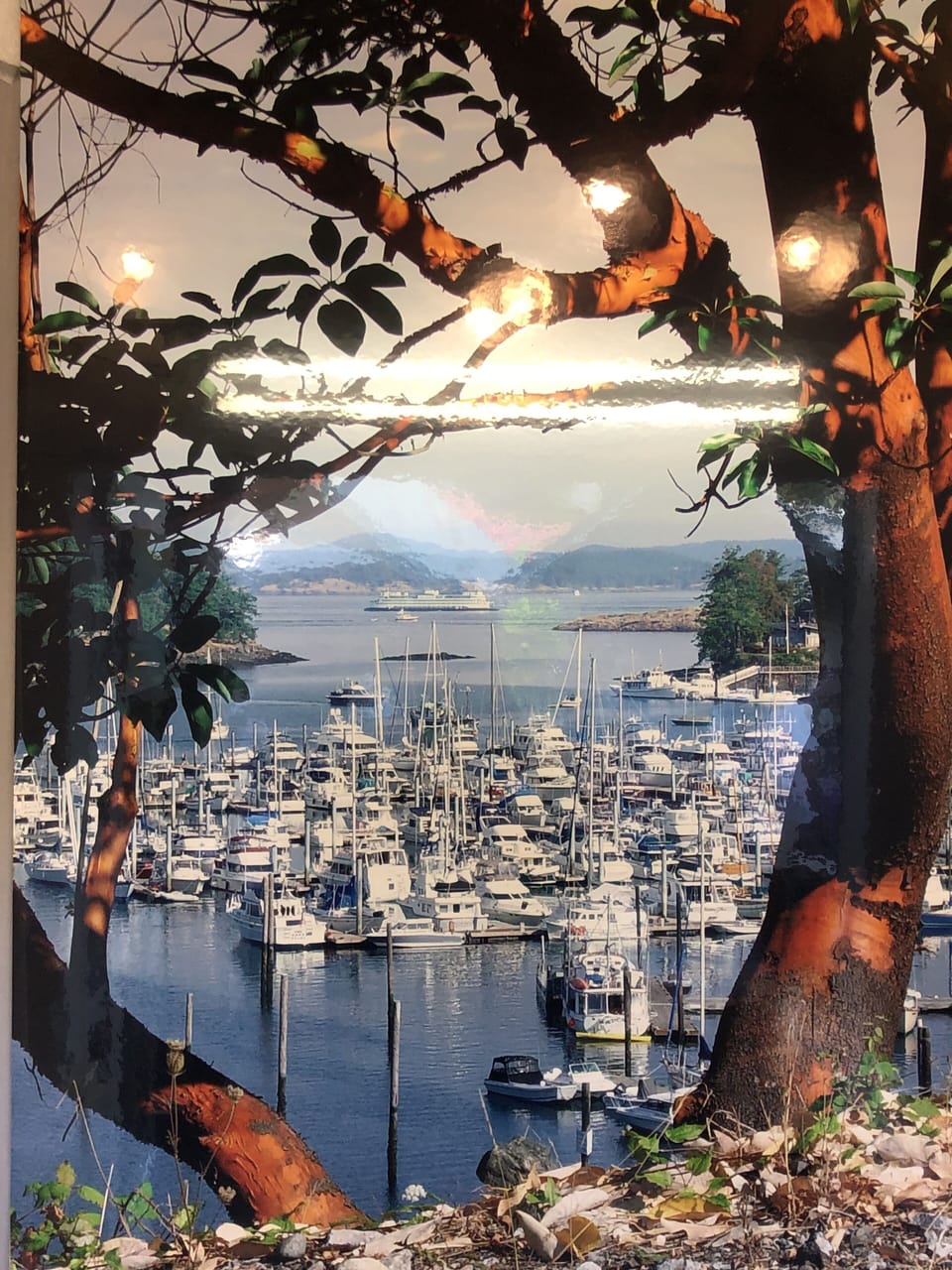 Friday Harbor Marina
