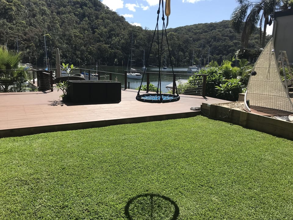 Backyard swing