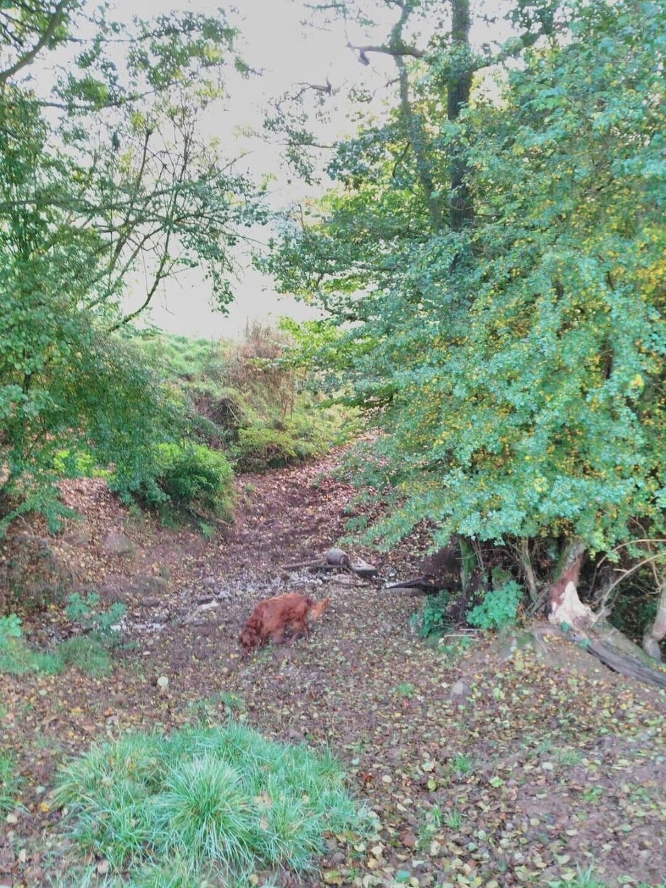 monty exploring