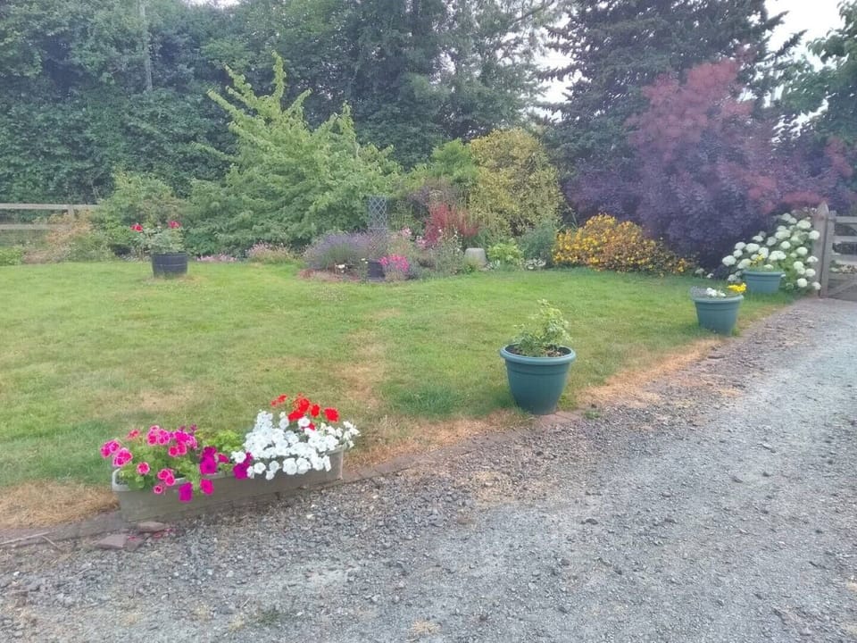 Garden with entrance drive