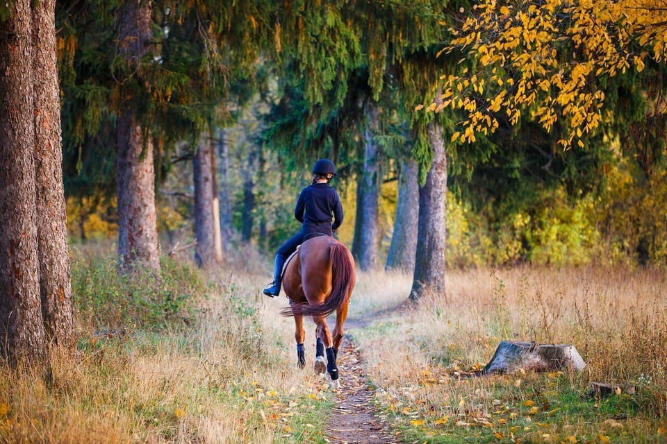 Horse Stable - 1,5 km from our place.