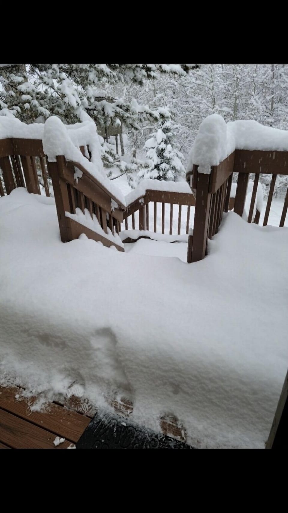Fresh Powder!
