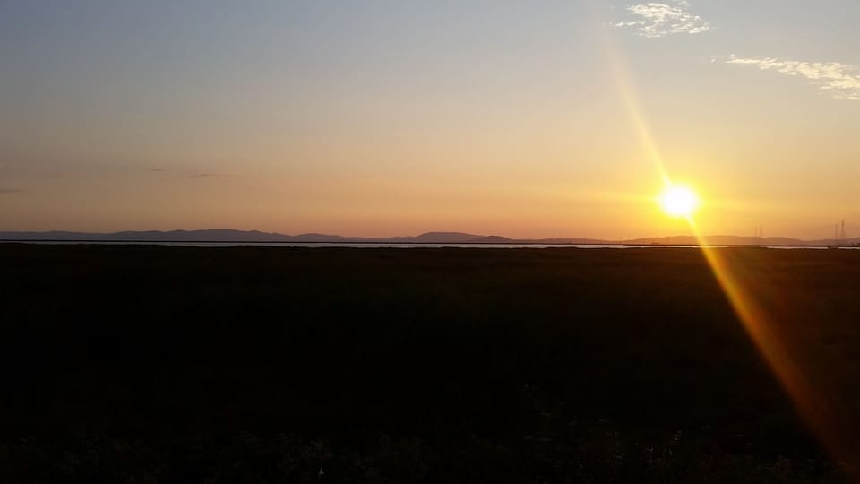 Main View from Living room
