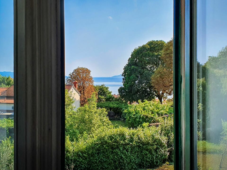 Sky, Plant, Window, Green, Azure, Natural Landscape, Natural Environment, Shade, Wood