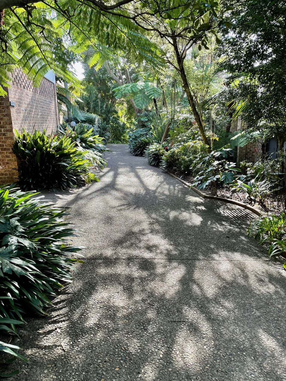 pathway to pool