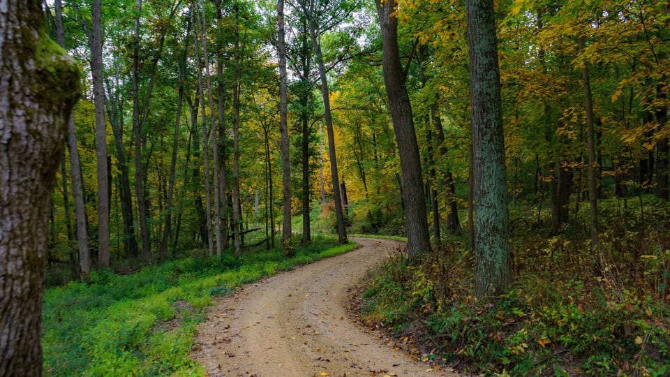 Private Drive to Cabin