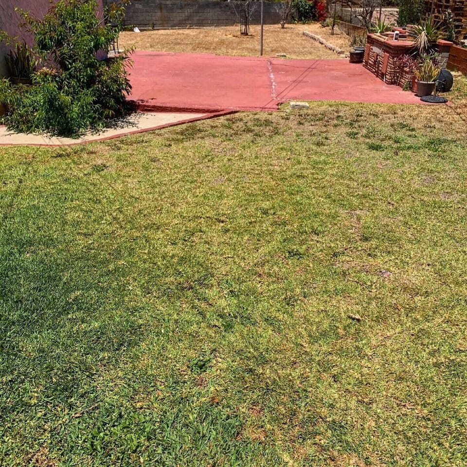 Very large backyard for events. 