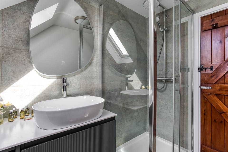 The modern family shower room