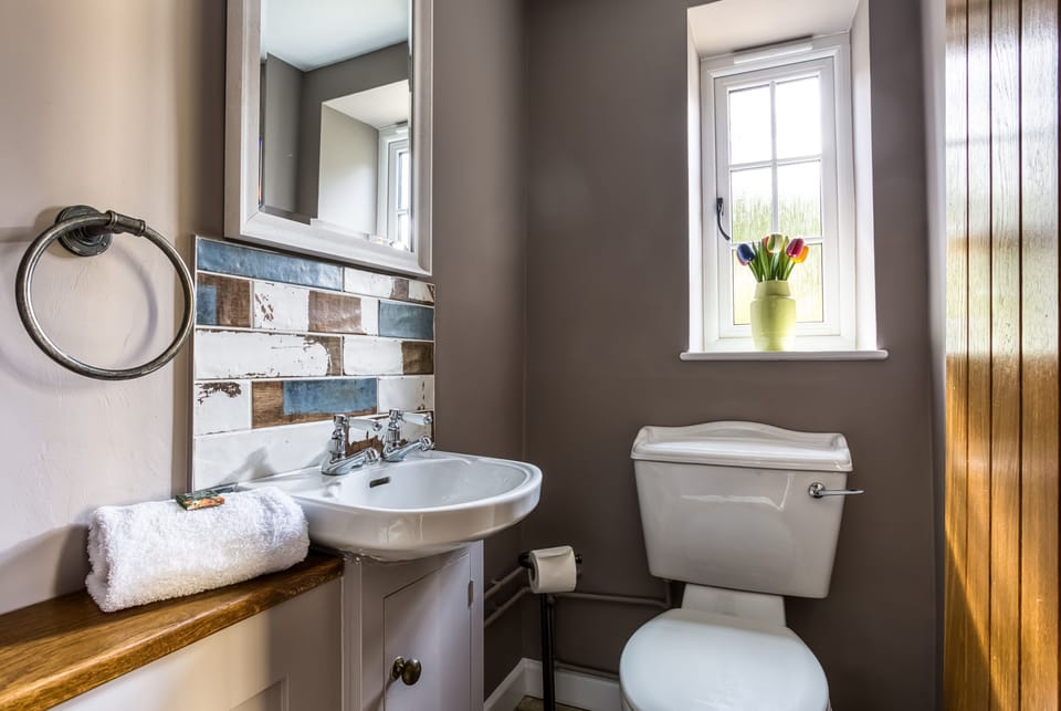 Handy downstairs loo