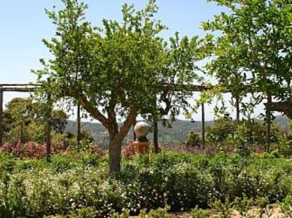 Garden, Park