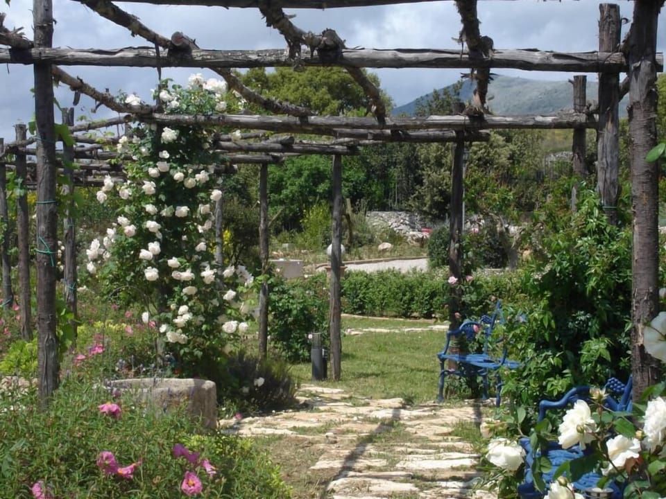 Garden, Park