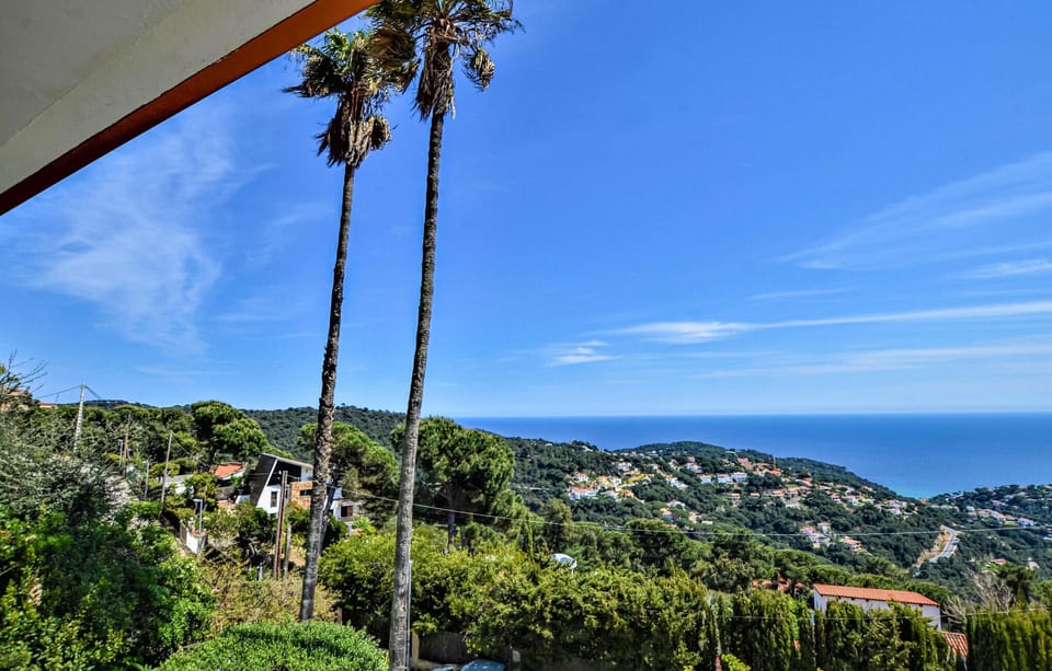 view-from-room